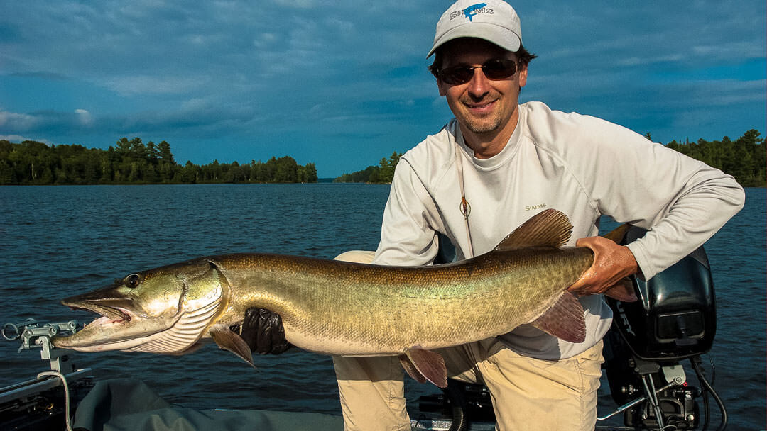 Muskies Are Fast Learners - Featured Image - MuskyChasers.com Muskies Are Fast Learners - Featured Image - MuskyChasers.com
