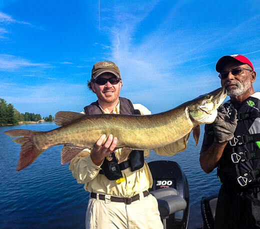 Muskies Are Fast Learners - Image 3 - Secret Spot - MuskyChasers.com Muskies Are Fast Learners - Image 3 - Secret Spot - MuskyChasers.com